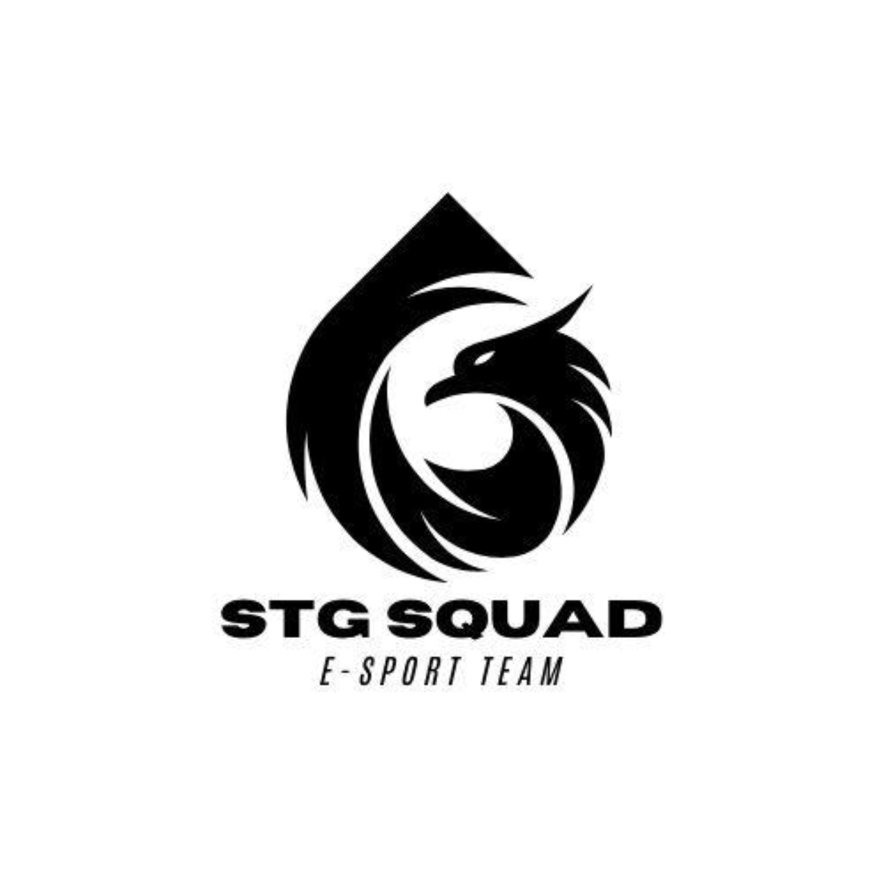 STG Squad logo